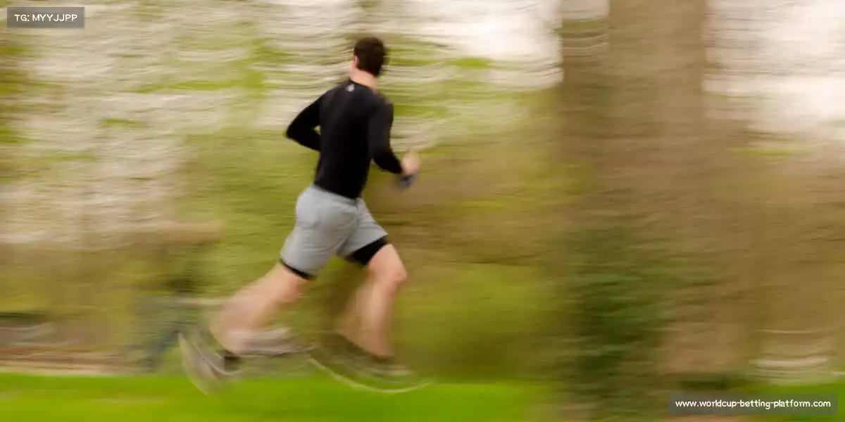 行业领先的理由